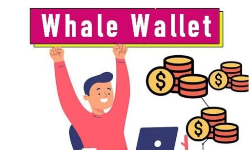 vi whale wallet
