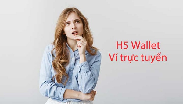 H5 Wallet